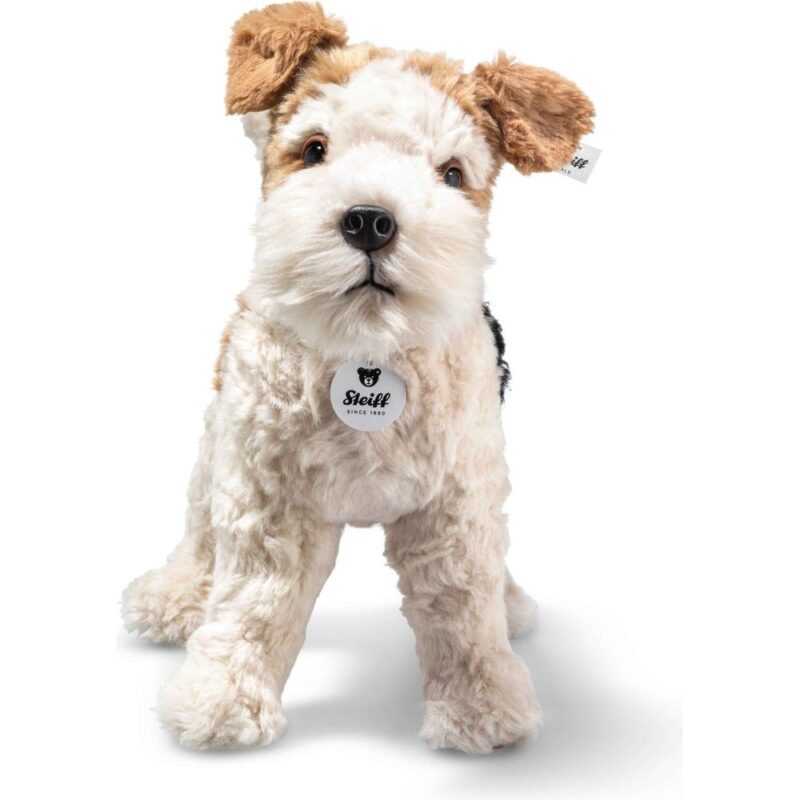 Foxy Fox Terrier Dog