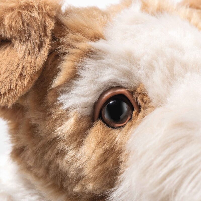 Foxy Fox Terrier Dog - Image 5